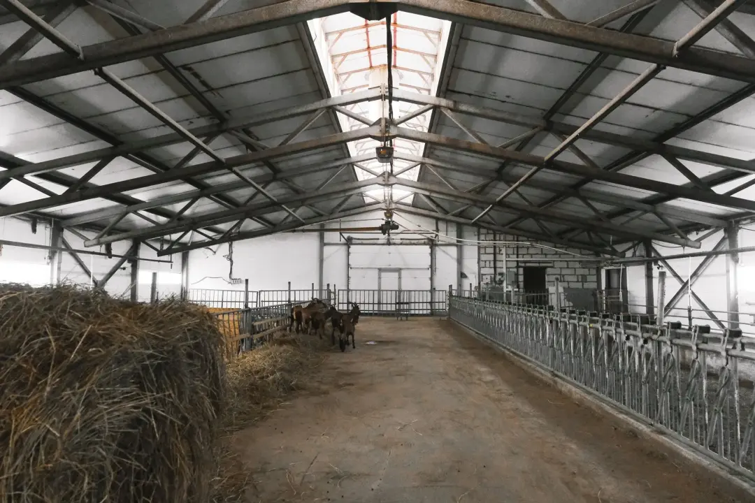 Loft and Barn Conversions in Listed Properties